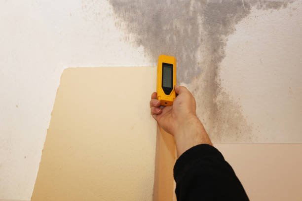Dehumidification Services in Wabasso Beach, FL