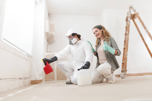Best HVAC Mold Inspection and Cleaning  in Wabasso Beach, FL